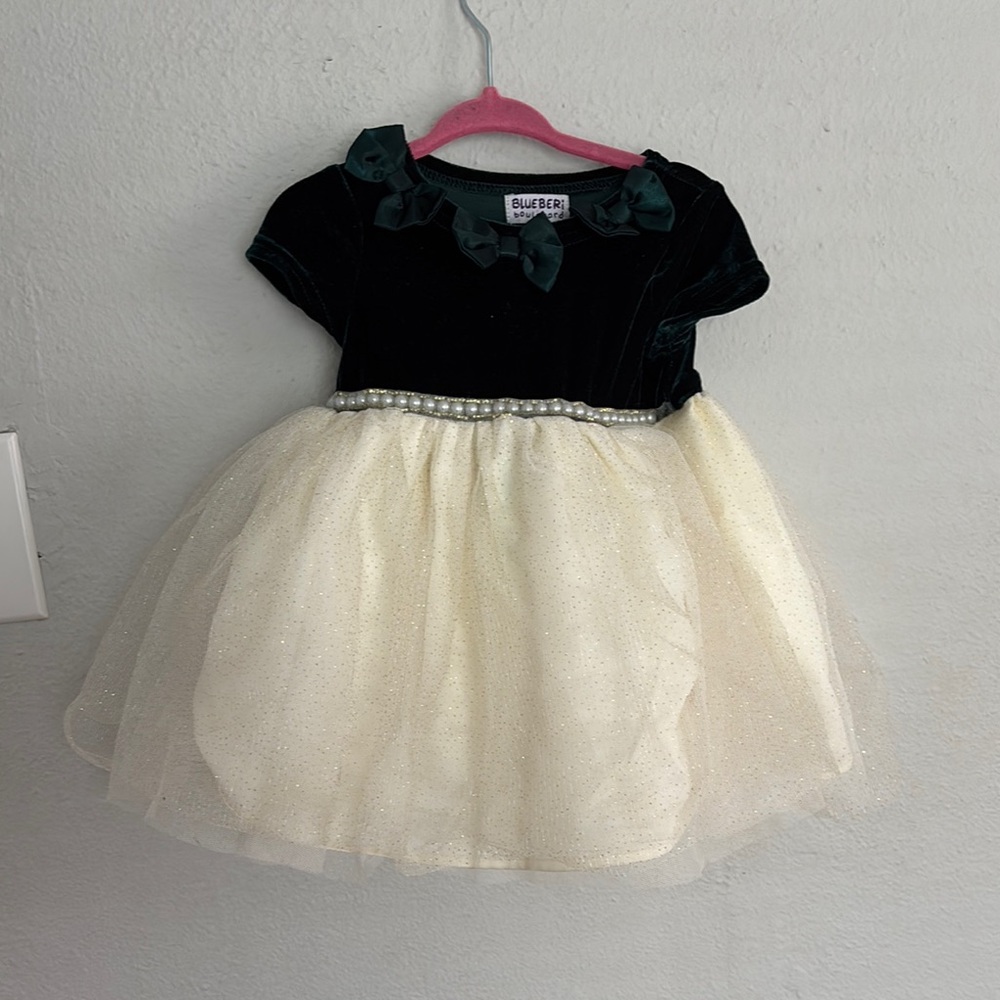 Blueberi Boulevard Velvet and Tulle Dress